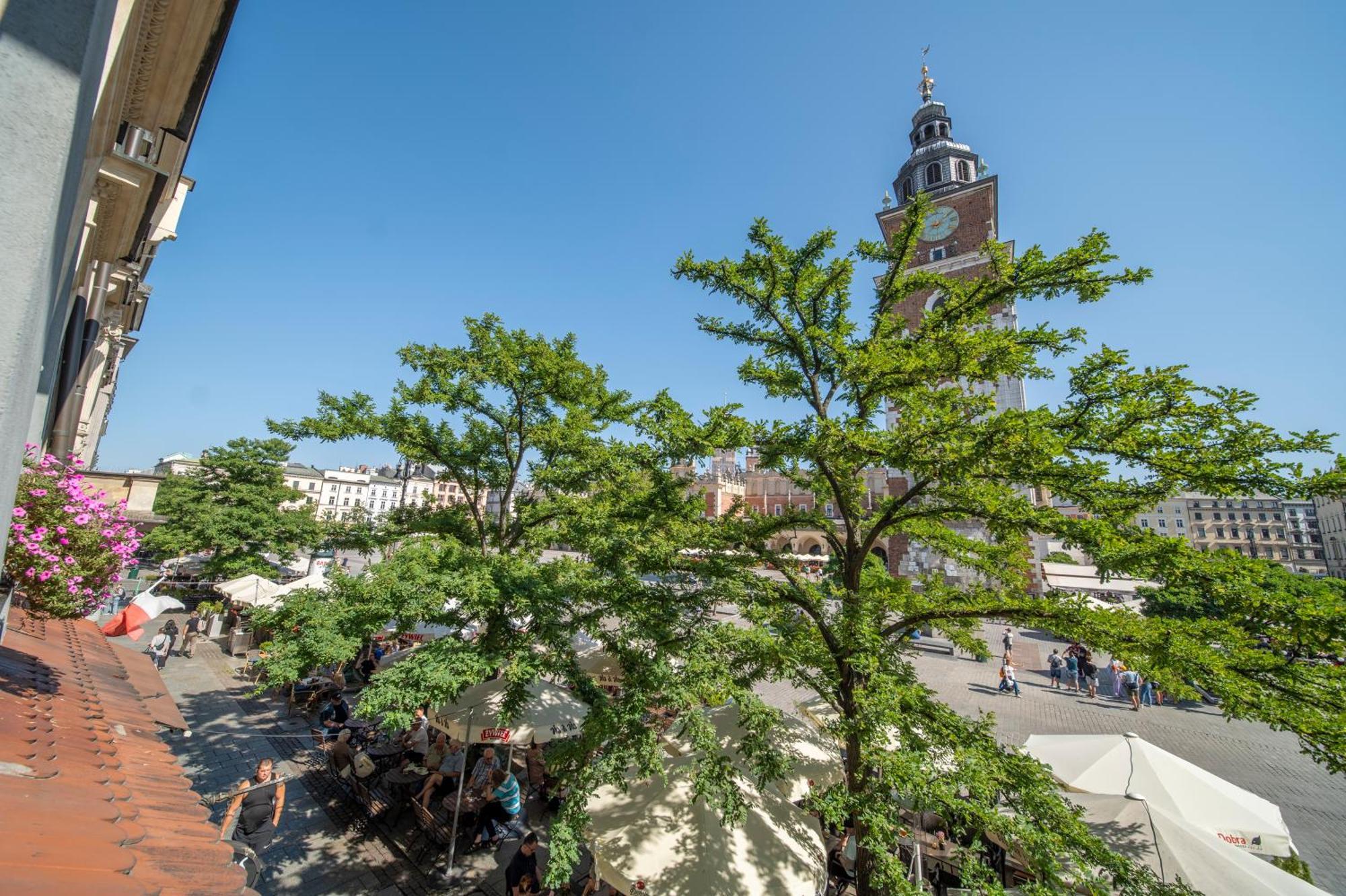 Pod Jagnieciem - Rynek Glowny Apartament Kraków